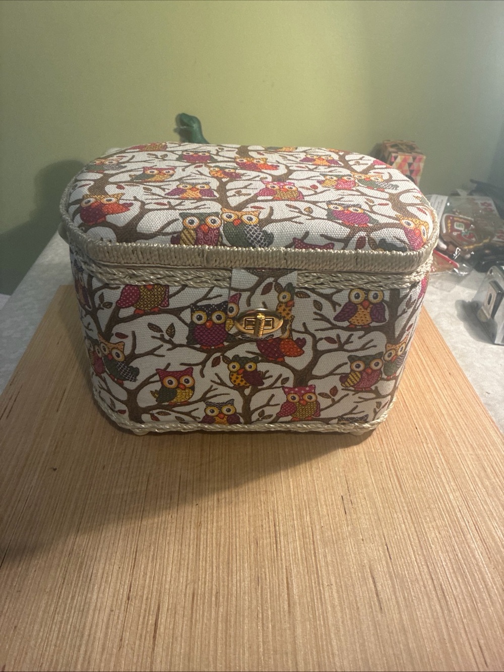 Owl Print Seeing  Box in Cream and Multicolor